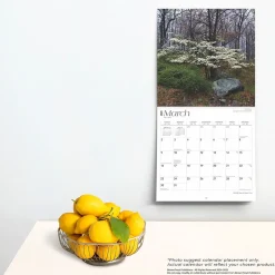 2025 BrownTrout New York Wild & Scenic 12