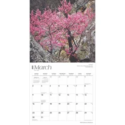 2025 BrownTrout Oklahoma Wild & Scenic 12