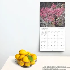 2025 BrownTrout Oklahoma Wild & Scenic 12