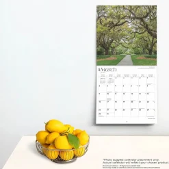 2025 BrownTrout Palmetto State South Carolina Places 12