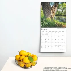 2025 BrownTrout Pennsylvania Wild & Scenic 12