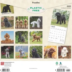 2025 BrownTrout Poodles 12" x 12" Monthly Wall Calendar (9781975477547)