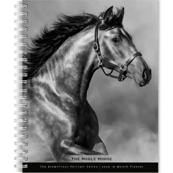 2025 BrownTrout Portrait Series: The Noble Horse 6" x 7.75" Weekly Engagement Planner, Paper Cover, Multicolored (9781975473228)