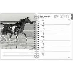 2025 BrownTrout Portrait Series: The Noble Horse 6