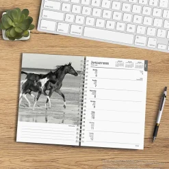 2025 BrownTrout Portrait Series: The Noble Horse 6