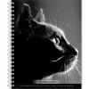 2025 BrownTrout Portrait Series: The Regal Cat 6" x 7.75" Weekly Engagement Planner, Paper Cover, Multicolored (9781975473211)