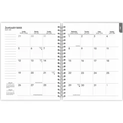 2025 BrownTrout Portrait Series: The Regal Cat 6