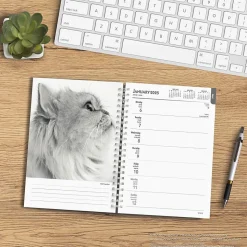 2025 BrownTrout Portrait Series: The Regal Cat 6