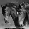2025 BrownTrout Portrait Series: The Noble Horse 12" x 12" Monthly Wall Calendar (9781975477158)