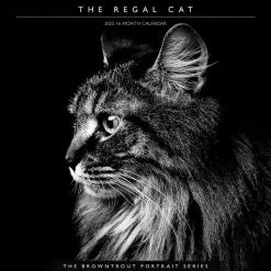 2025 BrownTrout Portrait Series: The Regal Cat 12" x 12" Monthly Wall Calendar (9781975476809)
