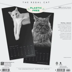 2025 BrownTrout Portrait Series: The Regal Cat 12" x 12" Monthly Wall Calendar (9781975476809)