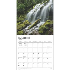 2025 BrownTrout Psalms 12