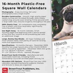 2025 BrownTrout Pug Puppies 12