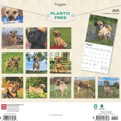 2025 BrownTrout Puggles 12" x 12" Monthly Square Wall Calendar (9781975477578)