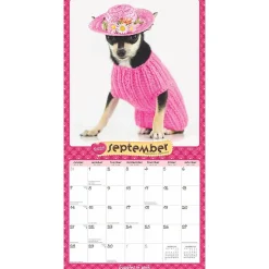 2025 BrownTrout Puppies in Pink 12