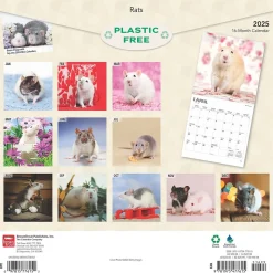 2025 BrownTrout Rats 12" x 12" Monthly Wall Calendar (9781975477615)