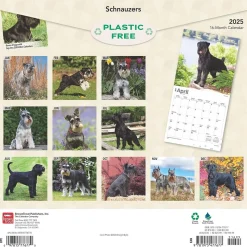 2025 BrownTrout Schnauzers 12" x 24" Monthly Square Wall Calendar (9781975477677)