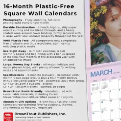 2025 BrownTrout Seventeen 12