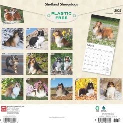 2025 BrownTrout Shetland Sheepdogs 12" x 24" Monthly Square Wall Calendar, (9781975477721)