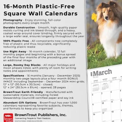 2025 BrownTrout Shetland Sheepdogs 12