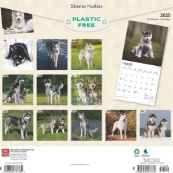 2025 BrownTrout Siberian Huskies 12" x 24" Monthly Square Wall Calendar (9781975477776)