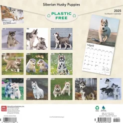 2025 BrownTrout Siberian Husky Puppies 12" x 12" Monthly Wall Calendar (9781975477783)