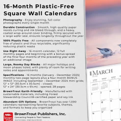 2025 BrownTrout Simplicity 12