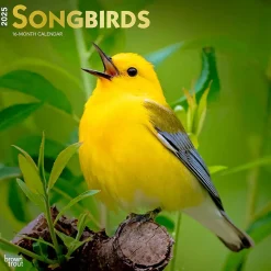 2025 BrownTrout Songbirds 12" x 12" Monthly Square Wall Calendar (9781975477806)