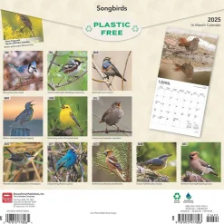 2025 BrownTrout Songbirds 12" x 12" Monthly Square Wall Calendar (9781975477806)
