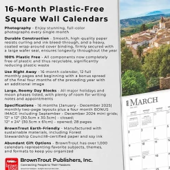 2025 BrownTrout Spain 12