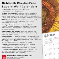 2025 BrownTrout Sunflowers 12