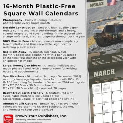 2025 BrownTrout Tanks of the World 12