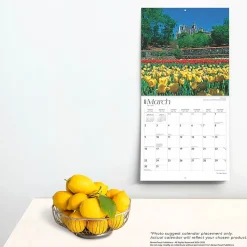 2025 BrownTrout Tar Heel State North Carolina Places 12