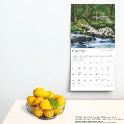 2025 BrownTrout Tennessee Wild & Scenic 12