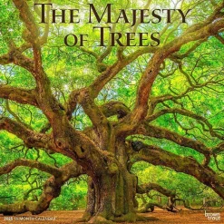2025 BrownTrout The Majesty of Trees 12" x 12" Monthly Square Wall Calendar (9781975477394)