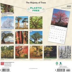 2025 BrownTrout The Majesty of Trees 12" x 12" Monthly Square Wall Calendar (9781975477394)