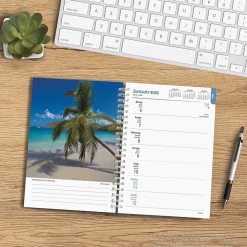 2025 BrownTrout Tropical Islands 6