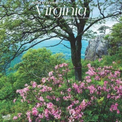 2025 BrownTrout Virginia Wild & Scenic 12" x 12" Monthly Wall Calendar (9781975475864)