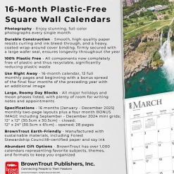 2025 BrownTrout Waterfalls 12