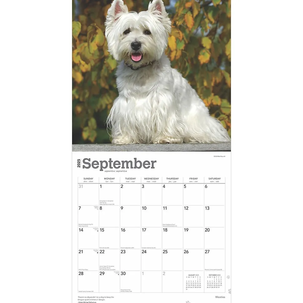 2025 BrownTrout West Highland White Terriers 12" x 12" Monthly Wall Calendar (9781975477974)