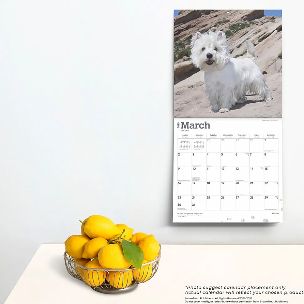 2025 BrownTrout West Highland White Terriers 12" x 12" Monthly Wall Calendar (9781975477974)