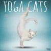 2025 BrownTrout Yoga Cats 12" x 24" Monthly Square Wall Calendar, (9781975479862)
