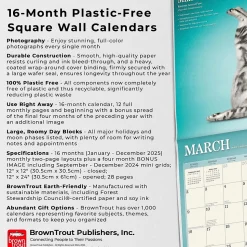 2025 BrownTrout Yoga Cats 12