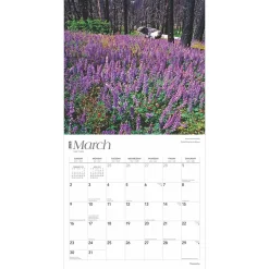 2025 BrownTrout Yosemite 12