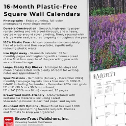 2025 BrownTrout Yosemite 12