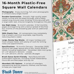 2025 Brush Dance Enlightened Rumi 12