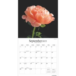 2025 Brush Dance In the Garden 12