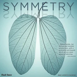 2025 Brush Dance Symmetry 12" x 12" Monthly Wall Calendar (9781975481445)
