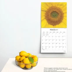 2025 Brush Dance Symmetry 12