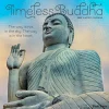 2025 Brush Dance Timeless Buddha 12" x 12" Monthly Wall Calendar (9781975478674)
